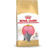 Royal Canin British Shorthair Kitten, Kitten, Britisch Kurzhaar, Geflügel, Reis, Gemüse, 2 kg, Antioxidantien enthalten